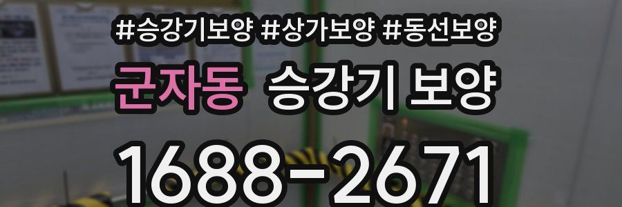 군자동 승강기 보양