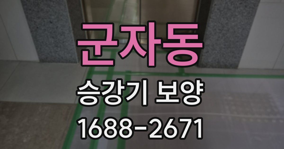 군자동 승강기 보양