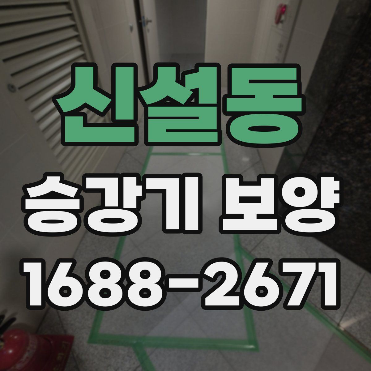 신설동 승강기 보양