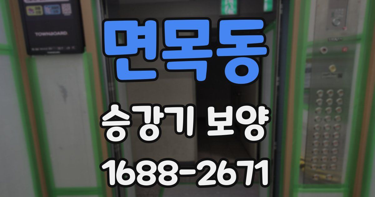 면목동 승강기 보양