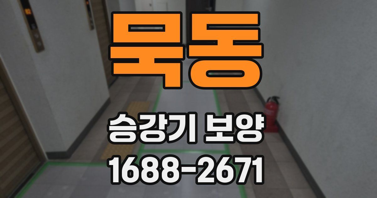 묵동 승강기 보양