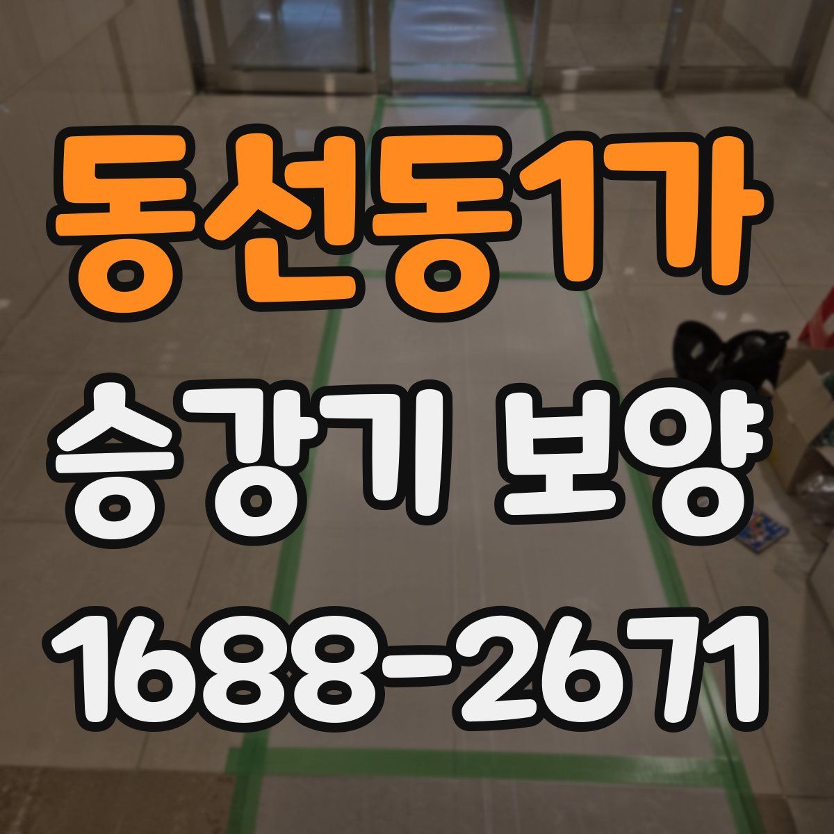 동선동1가 승강기 보양