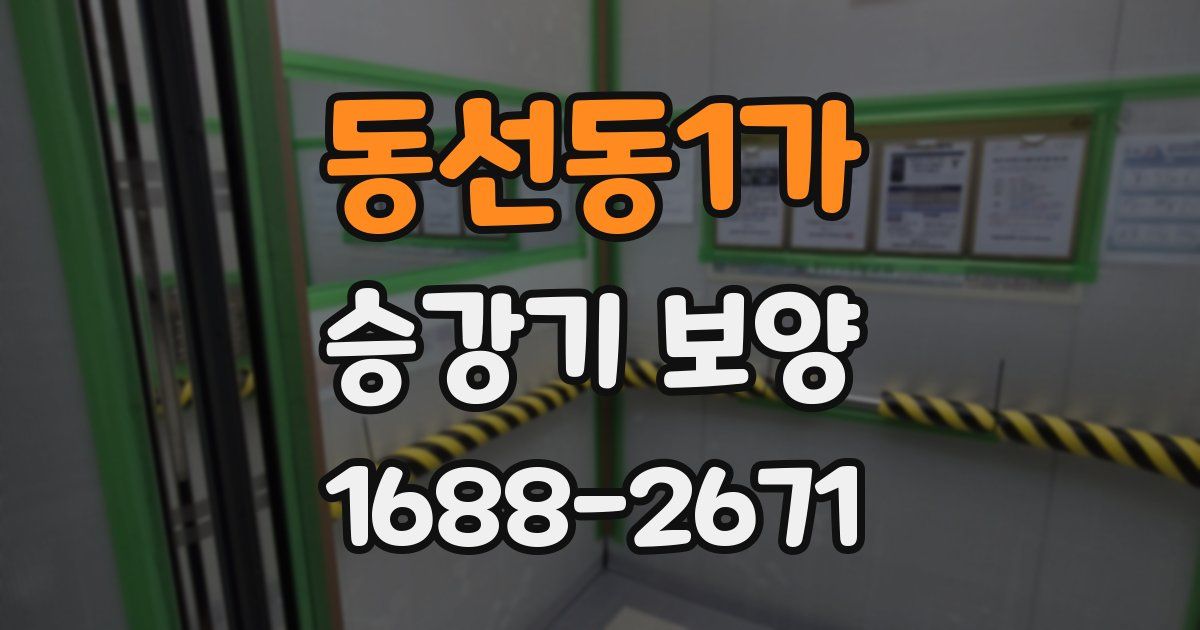 동선동1가 승강기 보양