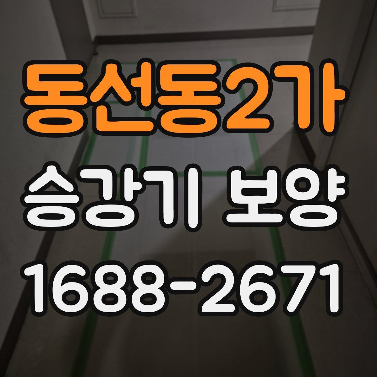 동선동2가 승강기 보양 일정 잡을 때 알아둘 사항