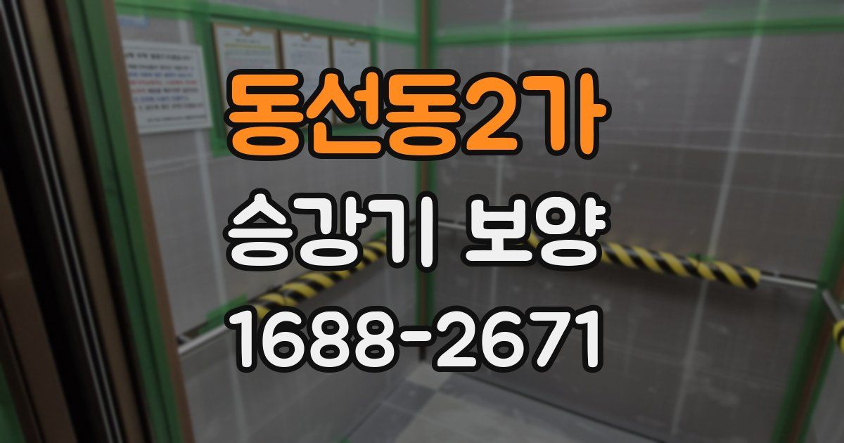 동선동2가 승강기 보양