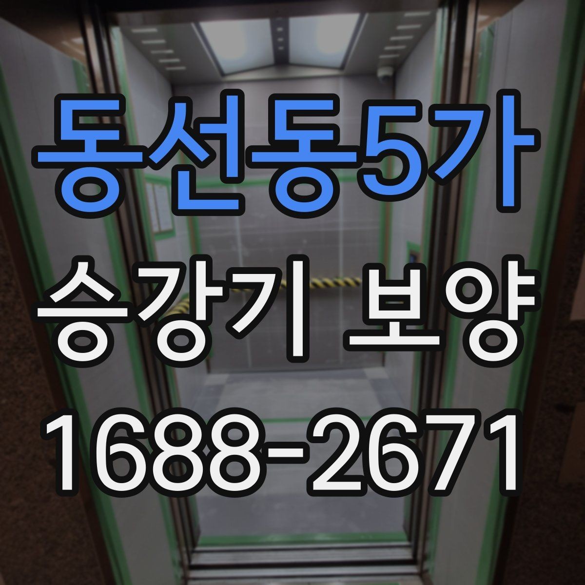 동선동5가 승강기 보양 자재 선택할 때 보는 기준