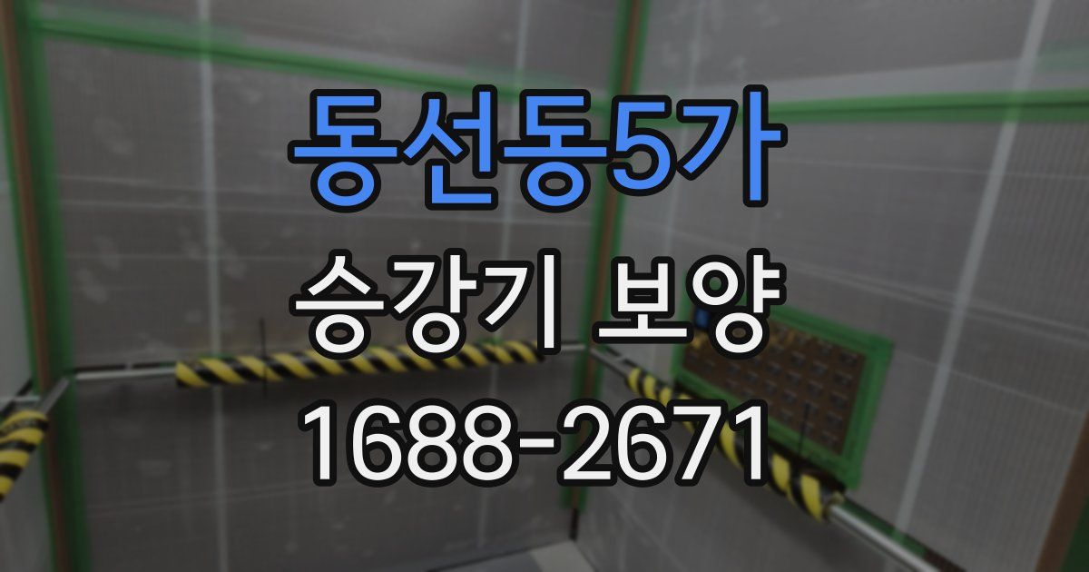 동선동5가 승강기 보양