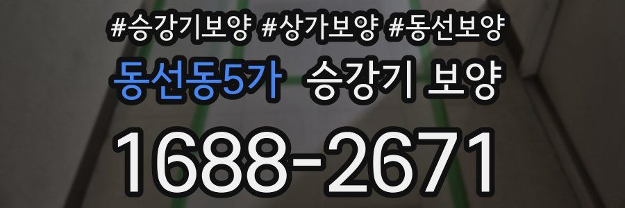 동선동5가 승강기 보양