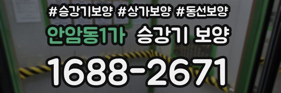 안암동1가 승강기 보양