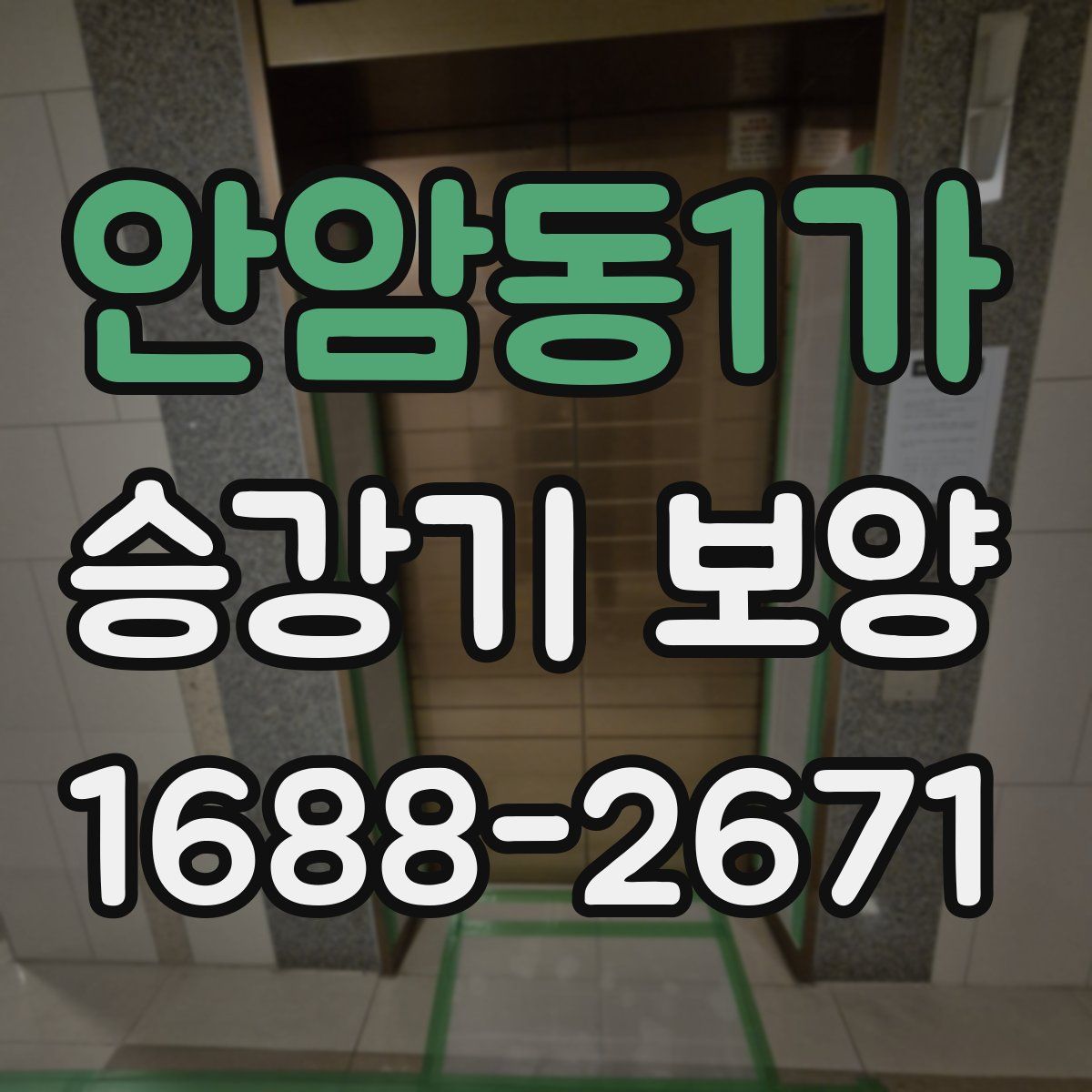 안암동1가 승강기 보양