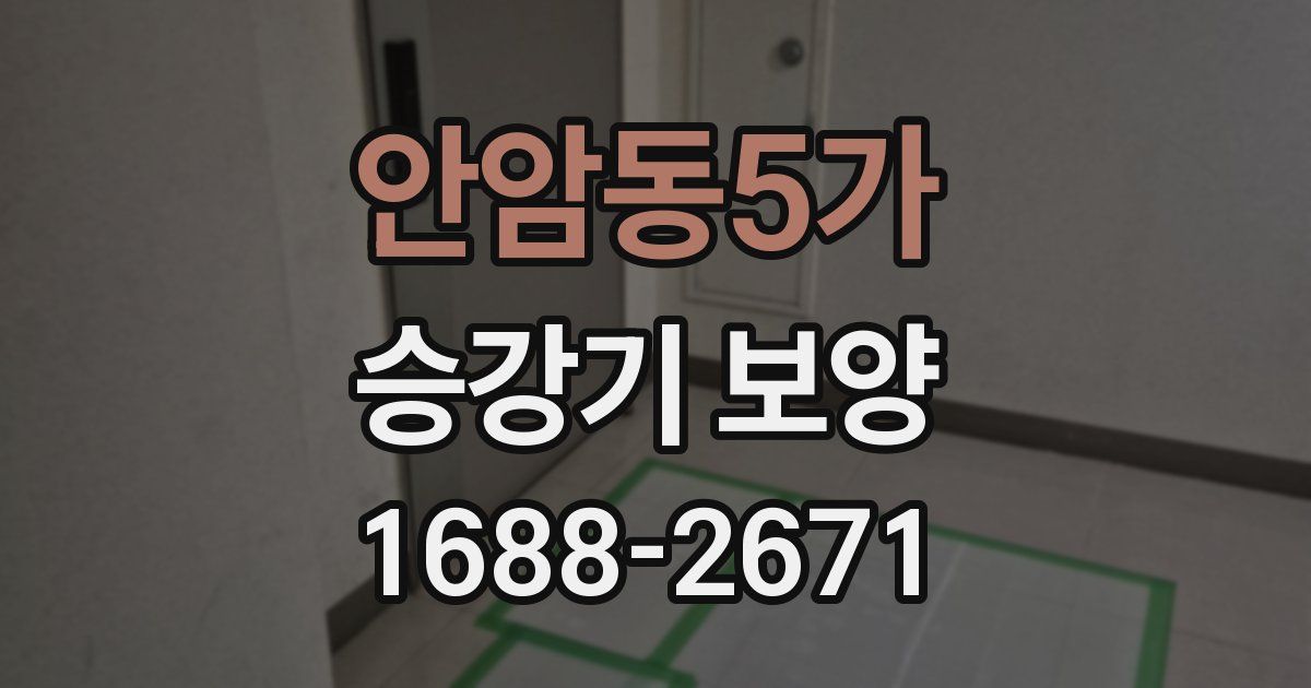 안암동5가 승강기 보양