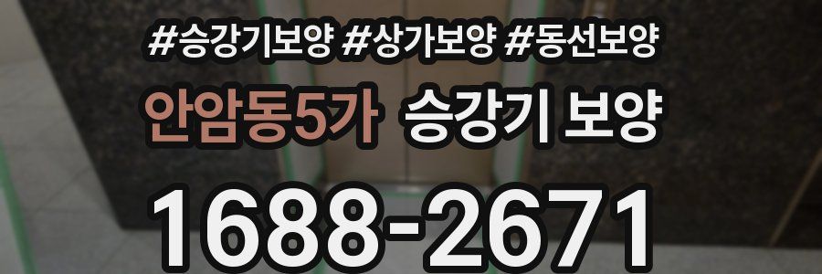 안암동5가 승강기 보양