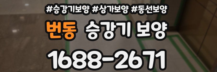 번동 승강기 보양