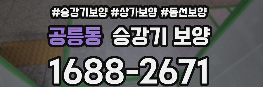 공릉동 승강기 보양