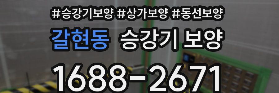갈현동 승강기 보양