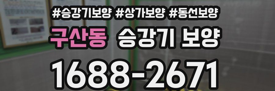 구산동 승강기 보양