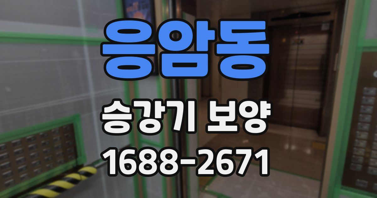 응암동 승강기 보양