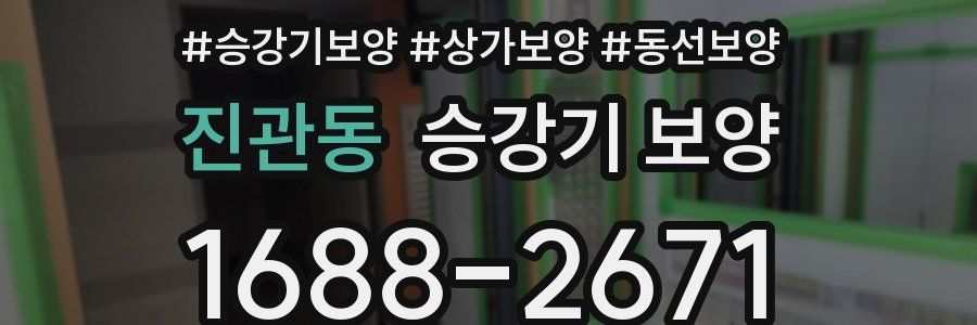 진관동 승강기 보양