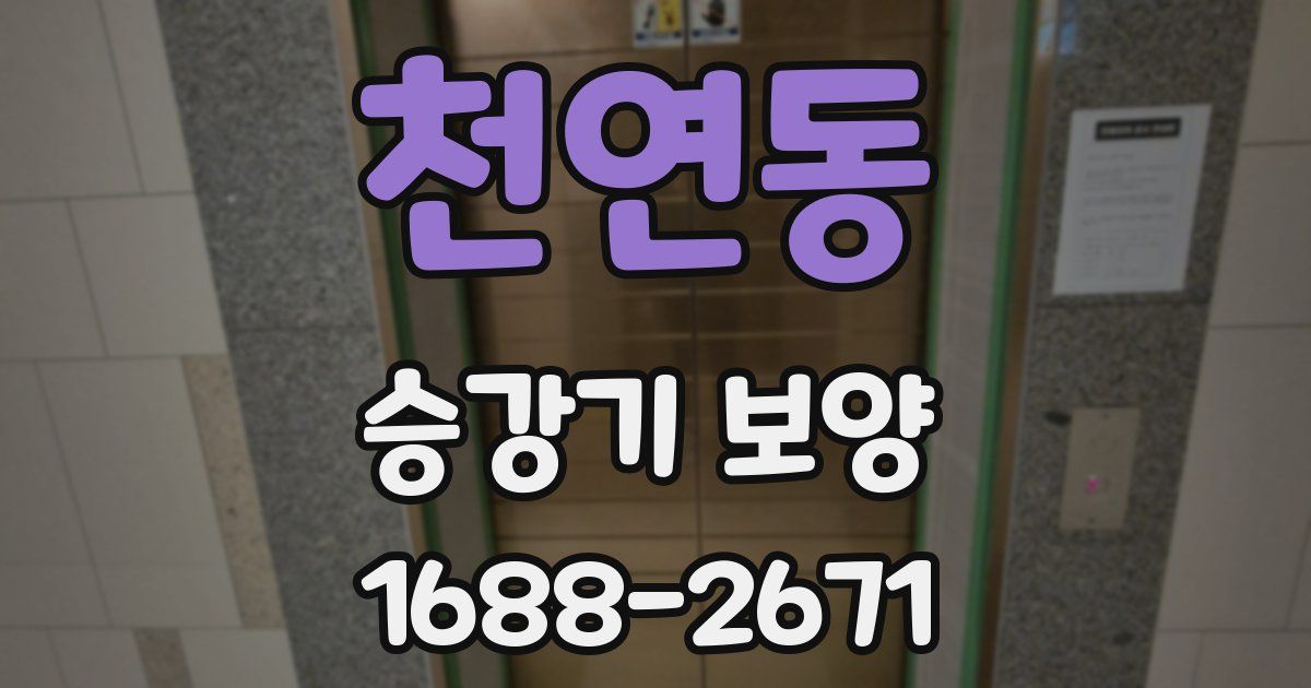 천연동 승강기 보양