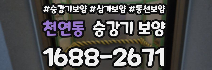 천연동 승강기 보양