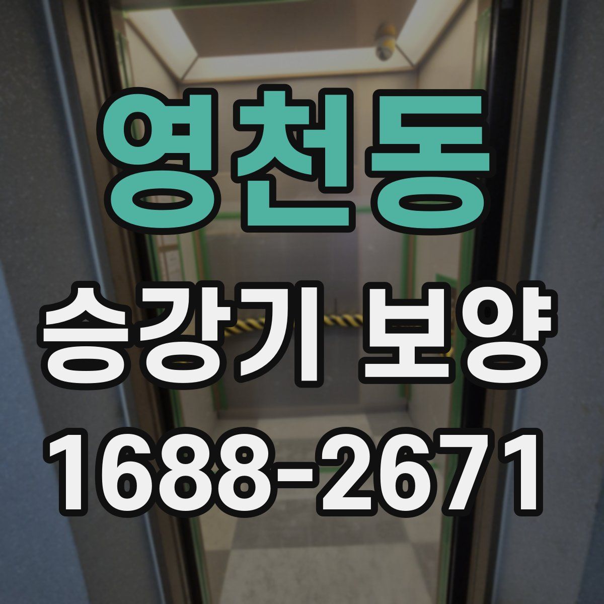 영천동 승강기 보양