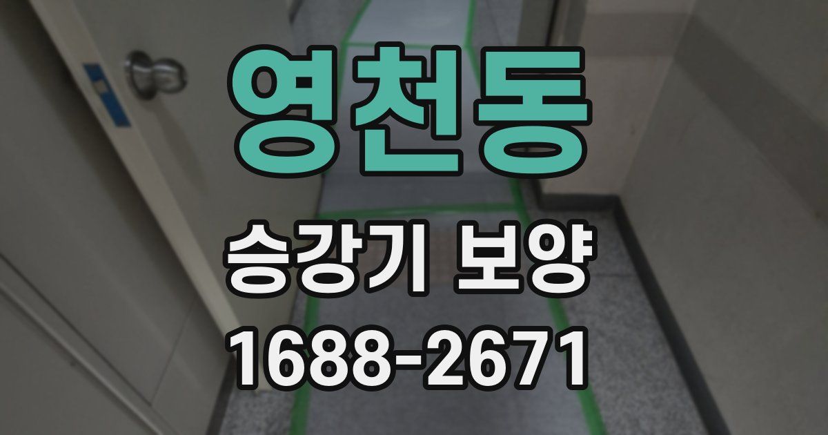 영천동 승강기 보양