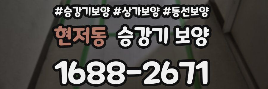 현저동 승강기 보양