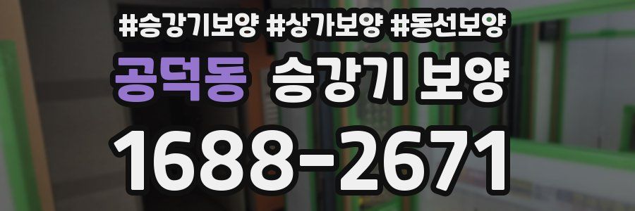 공덕동 승강기 보양
