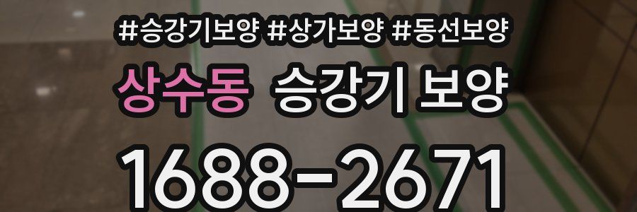 상수동 승강기 보양