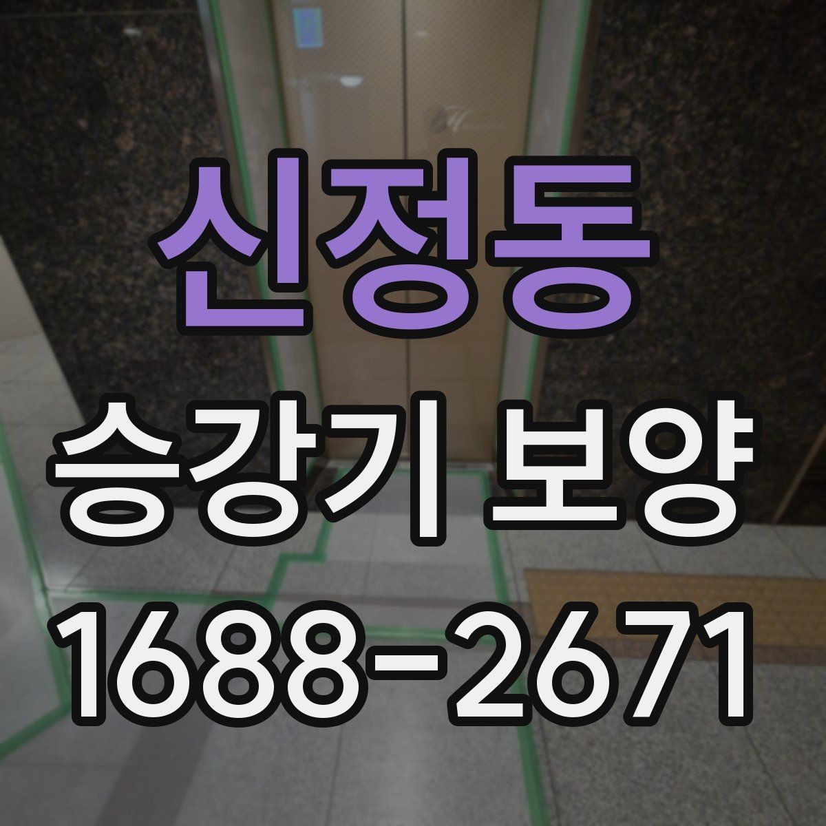 신정동 승강기 보양 비용은 무엇으로 달라질까