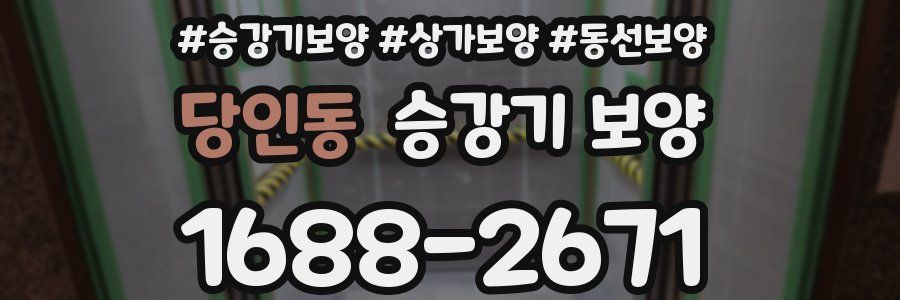 당인동 승강기 보양