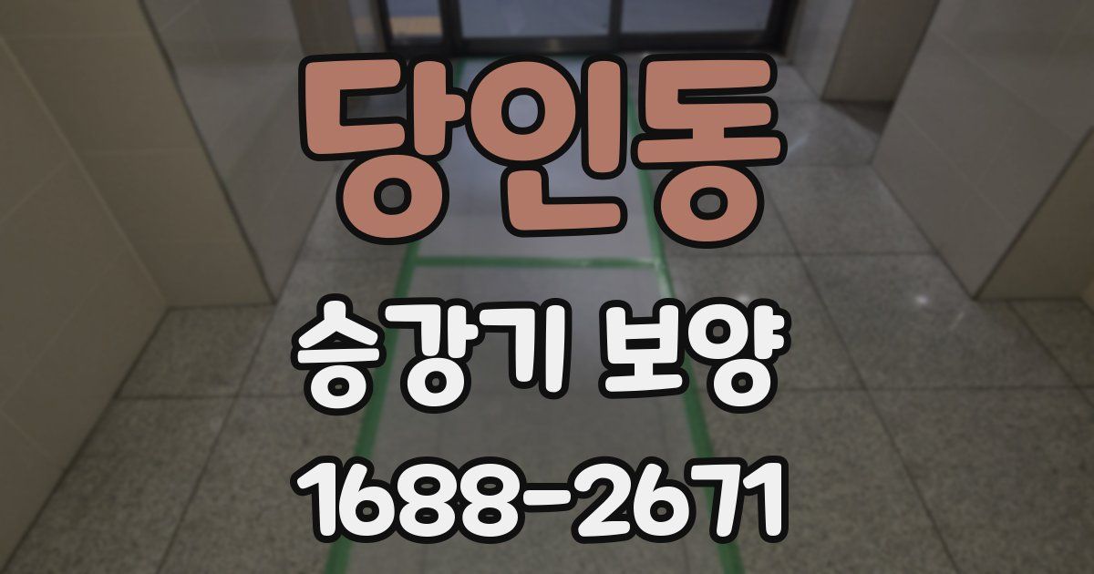 당인동 승강기 보양