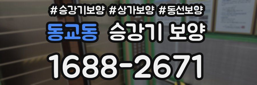 동교동 승강기 보양