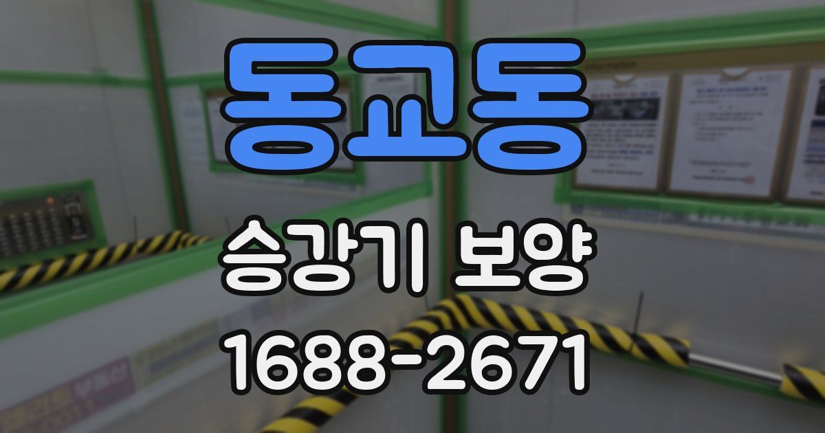 동교동 승강기 보양