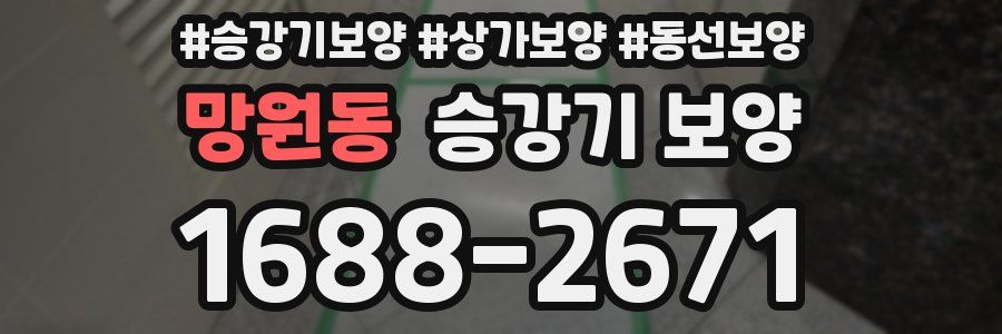 망원동 승강기 보양
