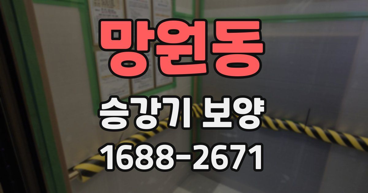 망원동 승강기 보양