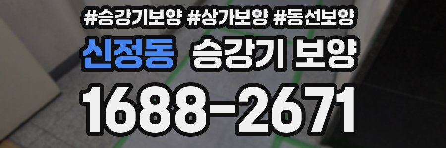 신정동 승강기 보양
