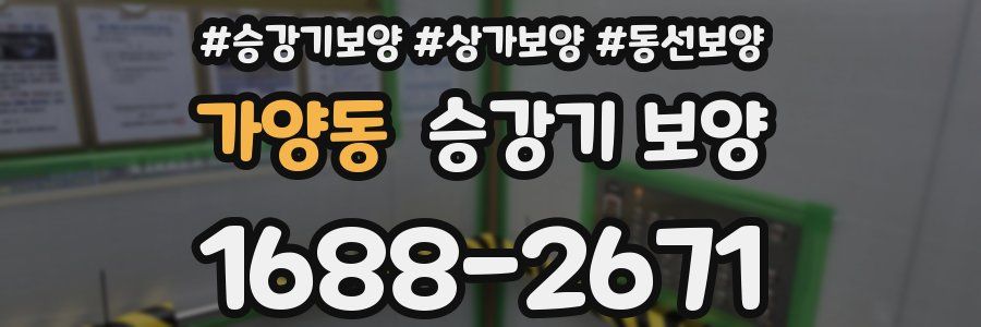 가양동 승강기 보양