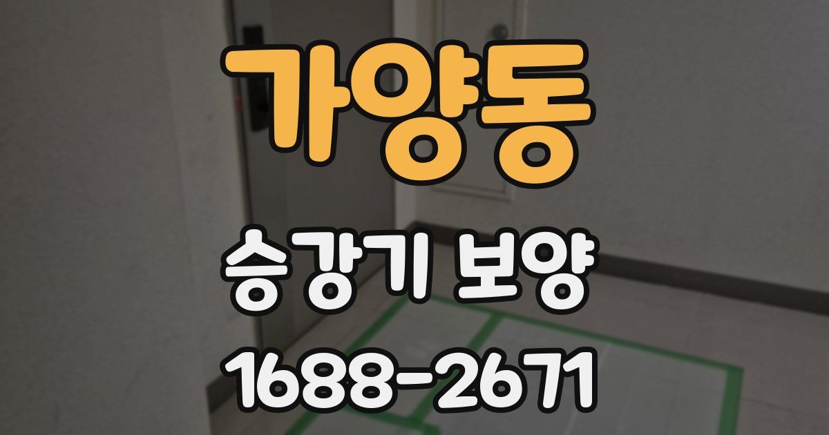 가양동 승강기 보양