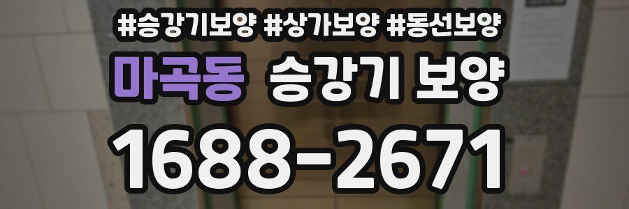 마곡동 승강기 보양