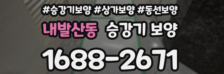 내발산동 승강기 보양