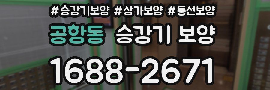 공항동 승강기 보양