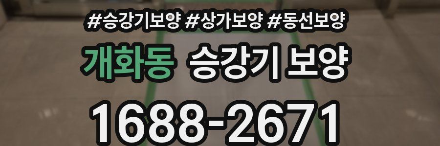 개화동 승강기 보양