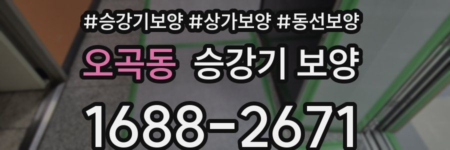 오곡동 승강기 보양