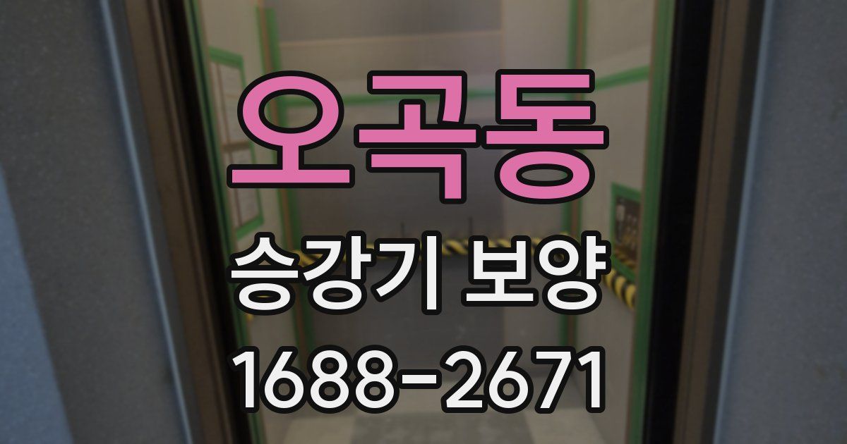 오곡동 승강기 보양