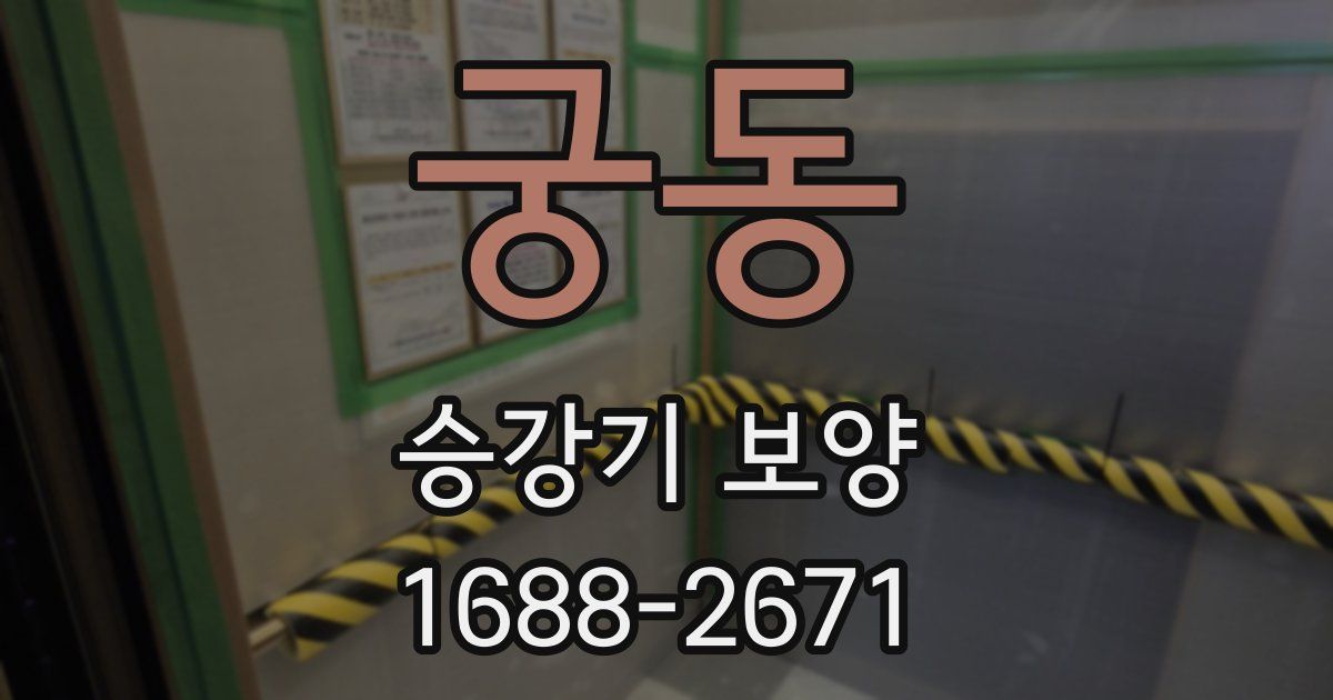 궁동 승강기 보양