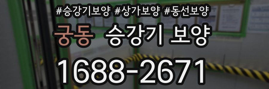 궁동 승강기 보양
