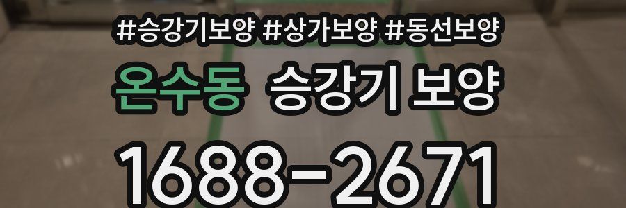 온수동 승강기 보양