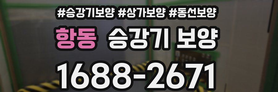 항동 승강기 보양
