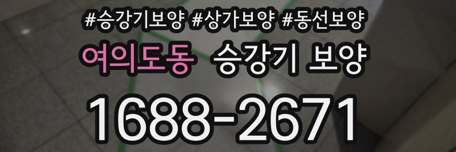 여의도동 승강기 보양